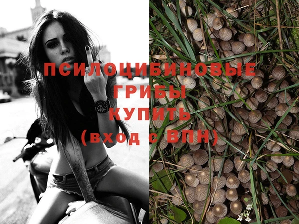 таблы Карпинск