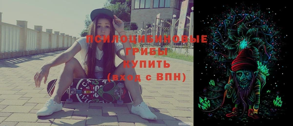 первитин Каменка