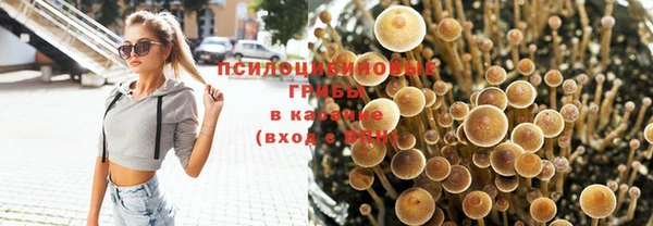 дмт Карталы