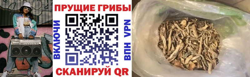 дарнет шоп  дарк нет наркотические препараты  Галлюциногенные грибы мухоморы  Михайловка  omg зеркало 