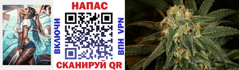 Каннабис White Widow  купить наркотик  Михайловка 